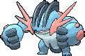 swampert rain team|SM OU .